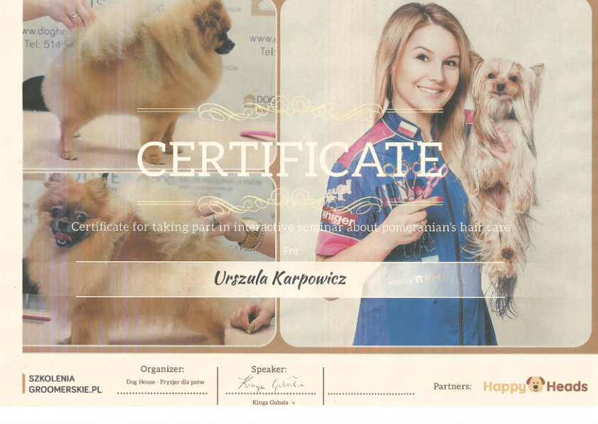 Dog House - pielęgnacja pomeranianów 2021